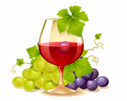 White wine Common Grape Vine Champagne Clip art - Wine 1133*906 ...