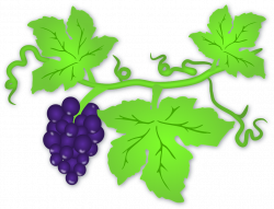 grape leaves 17 « Conneaut Area Chamber of Commerce