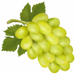 White Grape PNG Clip Art Image | Gallery Yopriceville - High ...