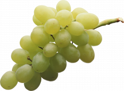 Grape PNG Clipart | Web Icons PNG