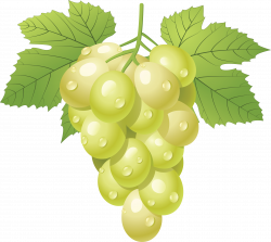 Pin by Hopeless on Clipart | Fruits images, Green grapes ...