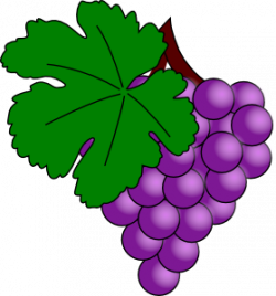 Grape With Vine Leaf Clip Art at Clker.com - vector clip art online ...