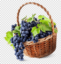 Wine Grape Chasselas Sauvignon blanc Basket, wine ...