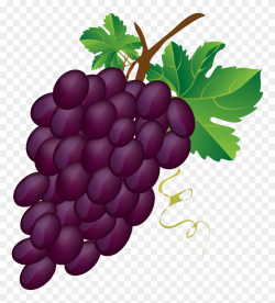 28 Collection Of Bunch Of Grapes Clipart - Grapes Images ...