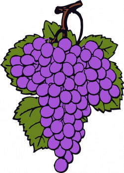 Grapes Purple Clip Art - Sweet Clip Art - Hanslodge Cliparts