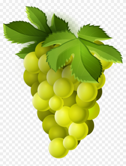 Grapes Clipart Common Fruit - Green Grapes Clipart Png ...