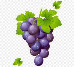 Grape Cartoon clipart - Wine, Grape, Fruit, transparent clip art