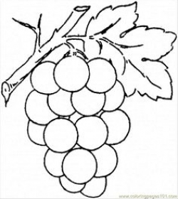 Grapes clipart drawing 2 » Clipart Portal