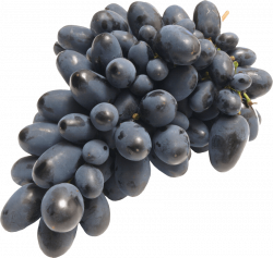 black grapes png - Free PNG Images | TOPpng