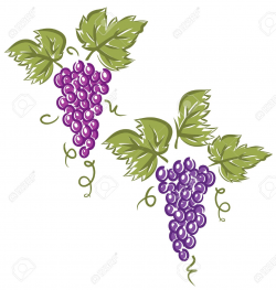 Free Grape Clipart eye, Download Free Clip Art on Owips.com