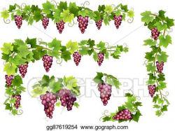 EPS Vector - Set of bunches red grapes. Stock Clipart ...