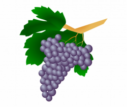 Wine Grapes Free Clipart Images - Wine Grapes Clip Art Png ...