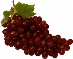 grapes png - Free PNG Images | TOPpng