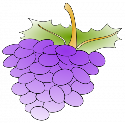 Grapes Silhouette at GetDrawings.com | Free for personal use Grapes ...
