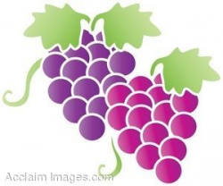 grape clipart - Google Search | Grapes! | Art, Clip art ...