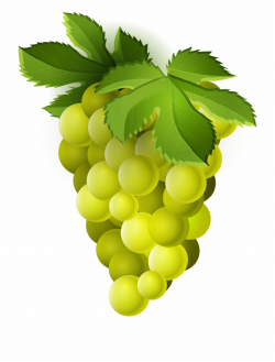 Grape Clipart Png Image - Green Grapes Clipart Png ...