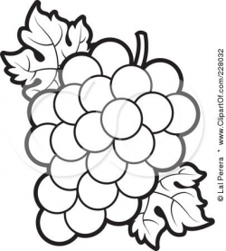 g is for grapes | Alphabet Book | Coloring pages, Flower ...