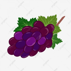 Grape, Fruit, Purple PNG Transparent Clipart Image and PSD ...