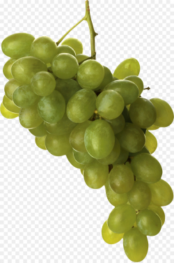 Grape Cartoon clipart - Grape, Juice, Fruit, transparent ...