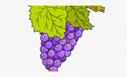 Vine Clipart Grape #1091221 - Free Cliparts on ClipartWiki