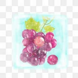 2019 的 Hand Painted Grapes Fruit Grapes Purple Grapes ...