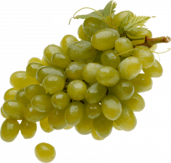 grapes wet png - Free PNG Images | TOPpng