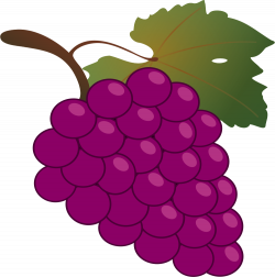 File:Bunch of grapes icon.svg - Wikimedia Commons