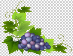 Common Grape Vine Grape Pie PNG, Clipart, Berry, Clipart ...