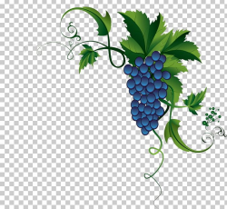 Grape Leaves Common Grape Vine PNG, Clipart, Berry, Bilberry ...