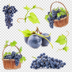 Bunch of grapes, Common Grape Vine , grape transparent ...