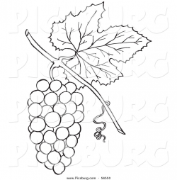 grapes clipart black and white - Google Search | Lexie's 1st ...