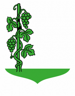 Grapes Green Plants Vines Png Image Picpng - Draw A Grape ...