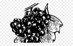 Grapes Clipart Climber - Grape Black Clipart - Png Download ...