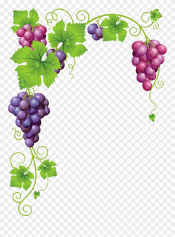 Grape Vine Clipart Png - Grape Vine Frame Transparent Png ...