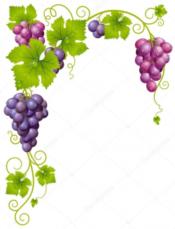 Download - Vector grape frame 3 — Stock Illustration ...