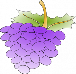 Grape Clipart small - Free Clipart on Dumielauxepices.net
