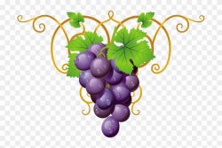 Holiday Decorations - Transparent Clipart Grape Vine Png ...