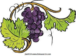 Grapes and vines Stock Illustration | Grape Vine Art | Meyve ...