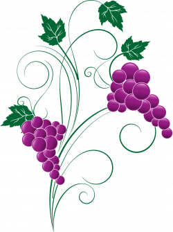 Grape PNG Transparent Free Images | PNG Only