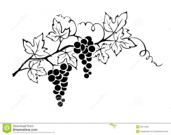 Found on Bing from www.dreamstime.com | My style | Grape ...