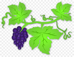 Family Tree Background clipart - Grape, Wine, Leaf ...