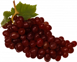 Grape PNG Image Without Background | Web Icons PNG
