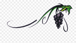 Grapevine Png Transparent Picture - Transparent Grape Vine ...