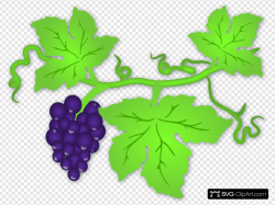 Grape Vine Clip art, Icon and SVG - SVG Clipart