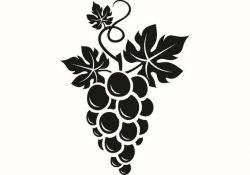 Grape Vine #1 Wine Winery Vineyard Wineglass Glass Label Drink Drinking  Alcohol Liquor Spirits Bar .SVG .EPS .PNG Vector Cricut Cut Cutting