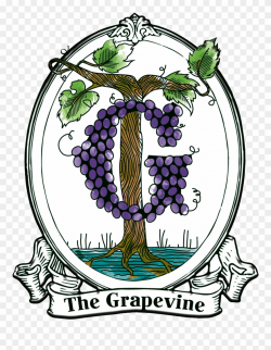 Grapevine Clipart - Illustration - Png Download (#1928947 ...