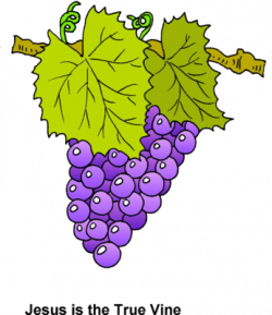 Image: Grapes - Jesus is the True Vine | Christart.com