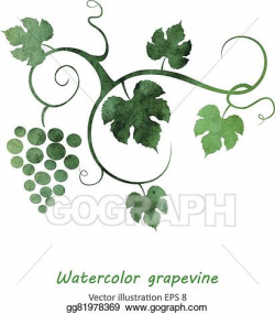 Vector Art - Watercolor style grapevine. Clipart Drawing ...