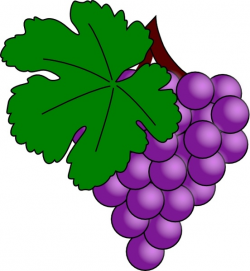 Grape With Vine Leaf clip art Free vector in Open office ...