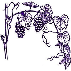 Free Vineyard Cliparts, Download Free Clip Art, Free Clip ...
